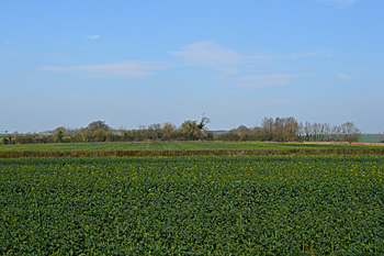 A field near the church April 2015